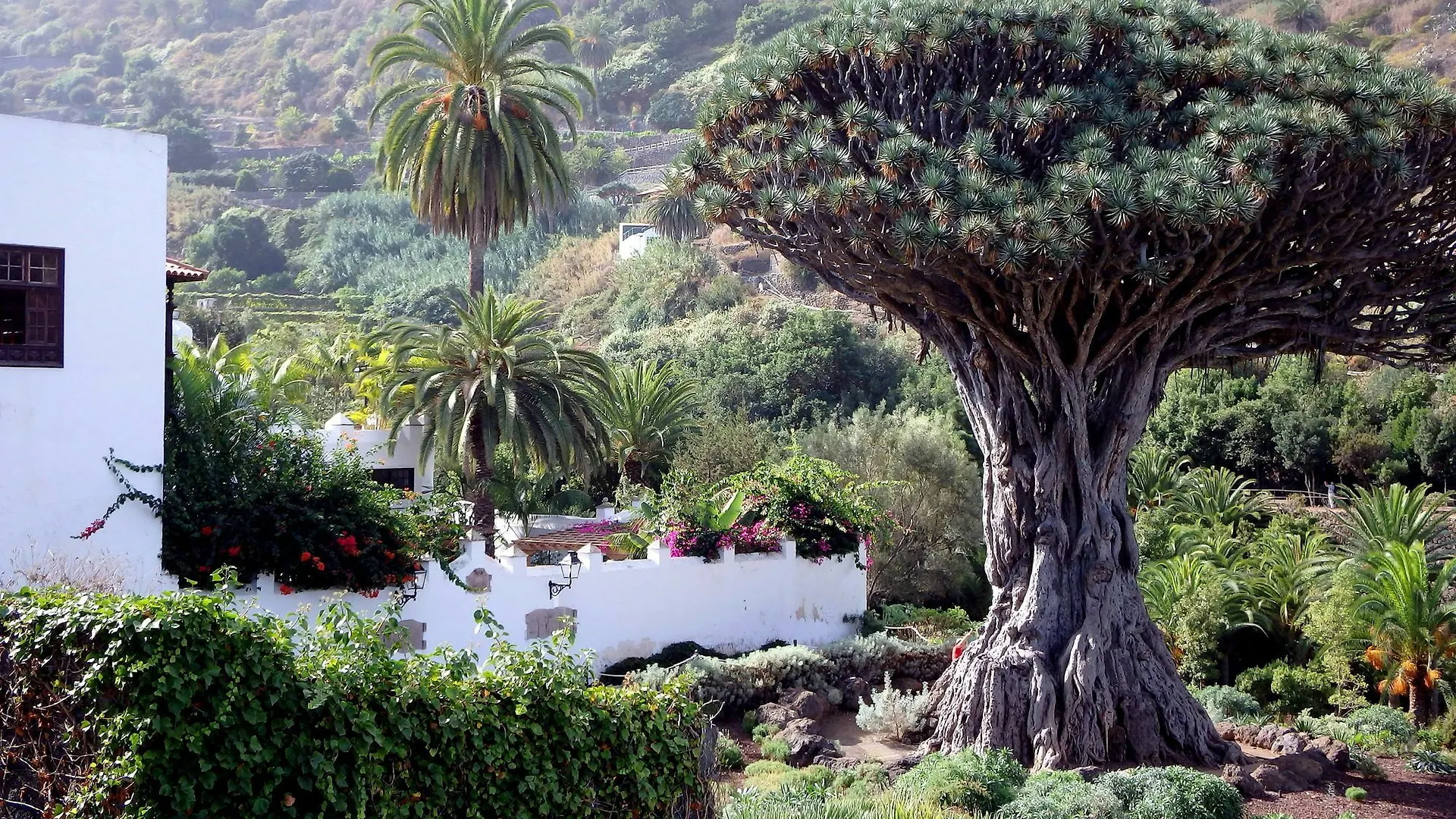 Chalet El Lagar Villa Icod De Los Vinos Spain